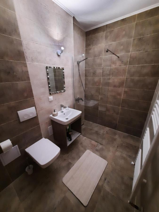 New Grey Residence Apartament Тиргу-Муреш Екстер'єр фото